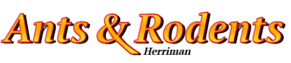 Herriman Ant Exterminator & Rodent Control Company Logo